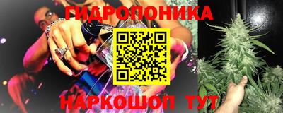 марки nbome Гусев