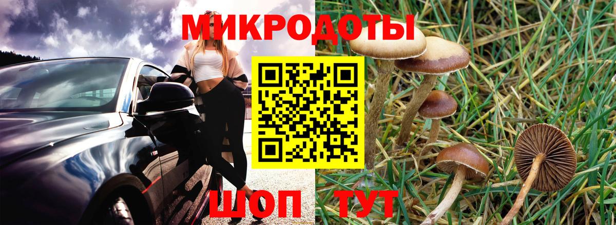 Нижнекамск  купить  цена  Вход с VPN  Псилоцибиновые грибы Psilocybine cubensis 