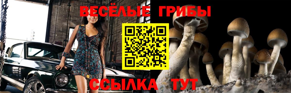 Псилоцибиновые грибы мицелий Нижнекамск